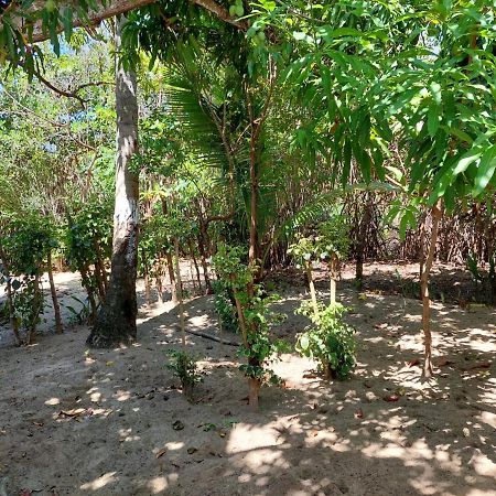 Cabana Playa Cambiaso Bed and Breakfast San Felipe de San Felipe de Puerto Plata Esterno foto