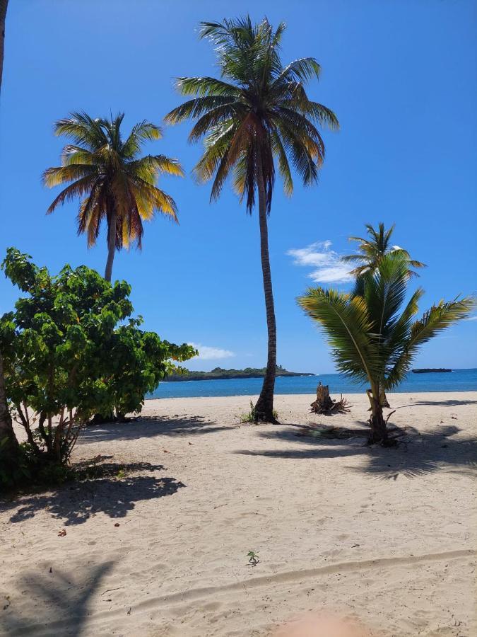 Cabana Playa Cambiaso Bed and Breakfast San Felipe de San Felipe de Puerto Plata Esterno foto