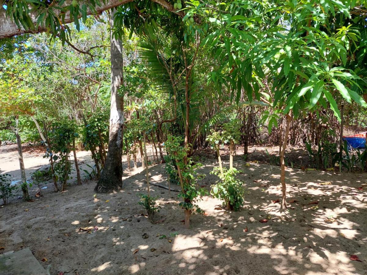 Cabana Playa Cambiaso Bed and Breakfast San Felipe de San Felipe de Puerto Plata Esterno foto